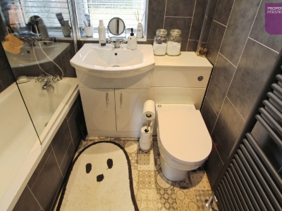 Picture 8